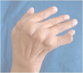 ʪ86d5cb_jpg.jpg