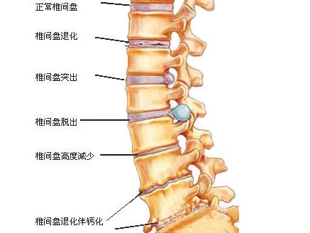  鷢ǿֱԼ׸ô죿